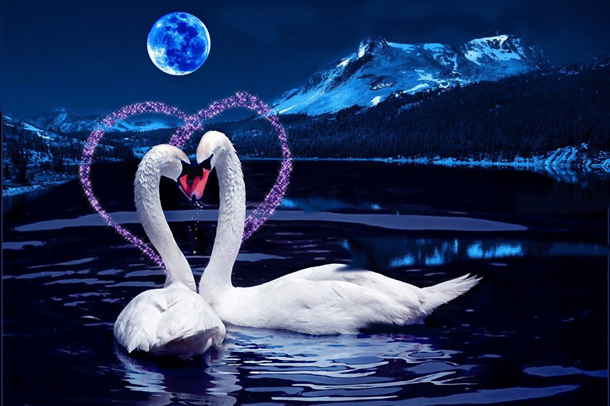 романтичное пожелание спокойной ночи любимой картинки